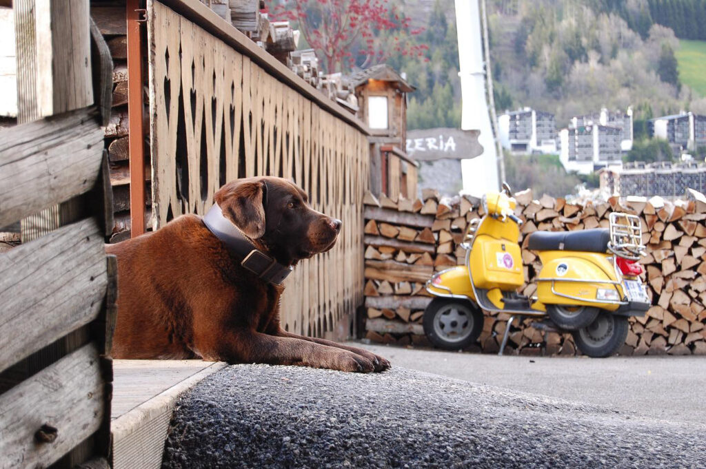 Hôtel restaurant à la Clusaz